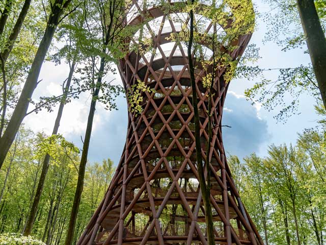 guided tour to the forest tower from Copenhagen